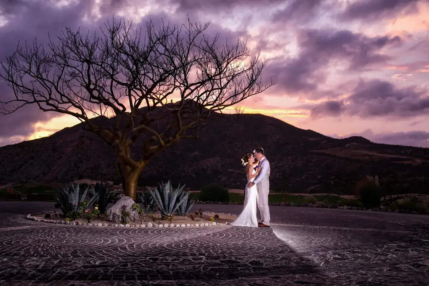 Pareja de novios en atardecer púrpura en Los Cabos